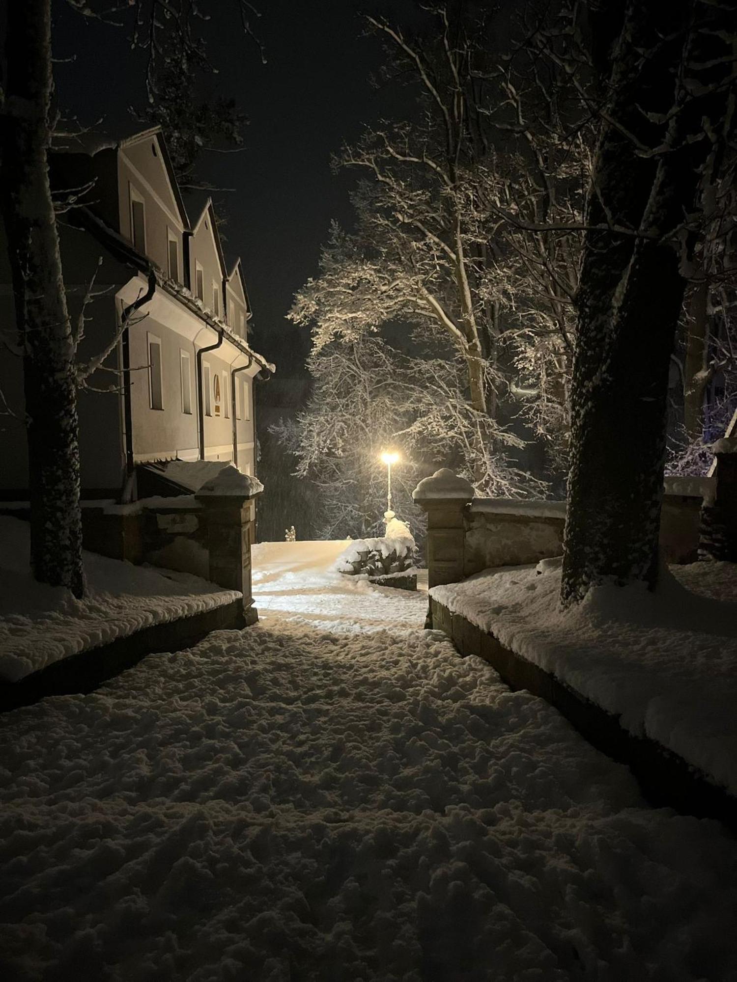 Hotel Auri Rudník Esterno foto
