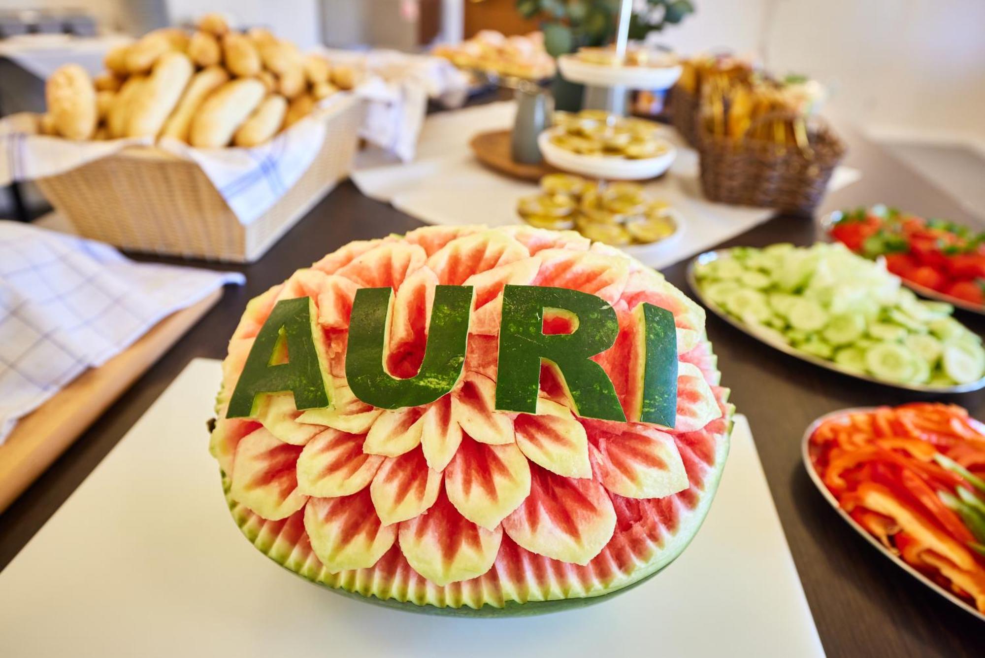 Hotel Auri Rudník Esterno foto